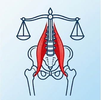 Illustration eines Beckens mit Hüftmuskulatur unter einer Waage als Sinnbild für Balance